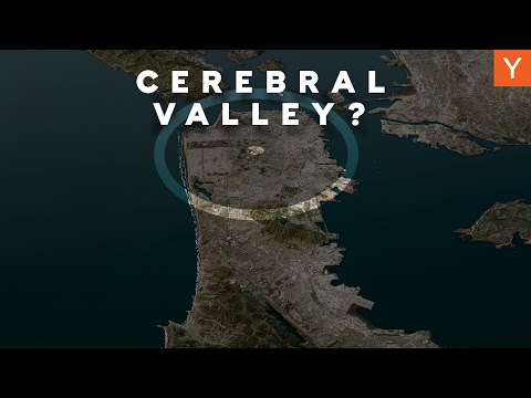 Where Is The REAL Cerebral Valley? [Lightcone Podcast Ep. 3]
